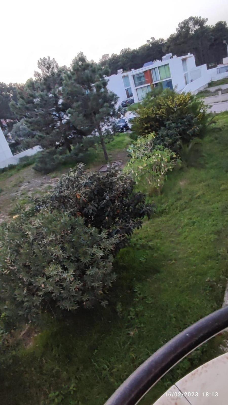 Beach, Surf And Golf Near Lisbon Apartment